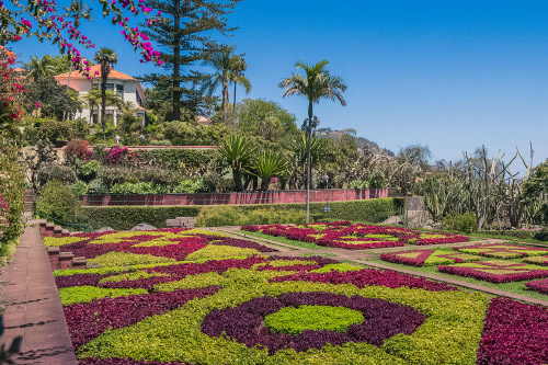 Madeira: Jardín Botánico de Madeira