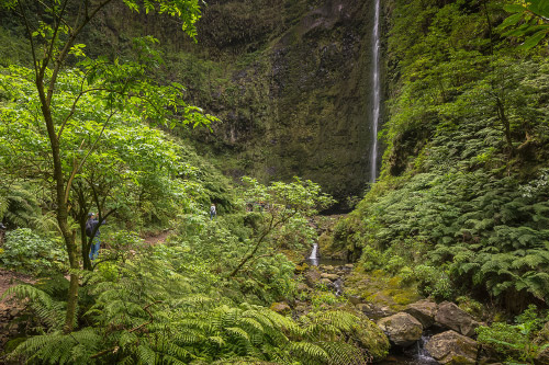 Madeira: Levada do Caldeirão Verde